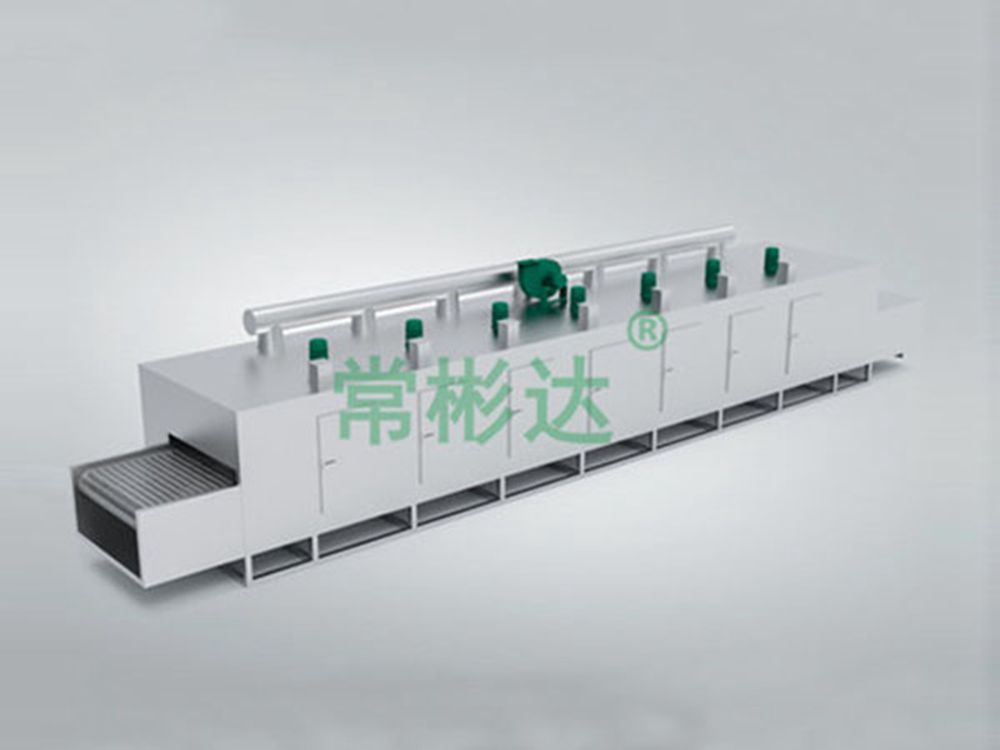 DW single-layer belt dryer